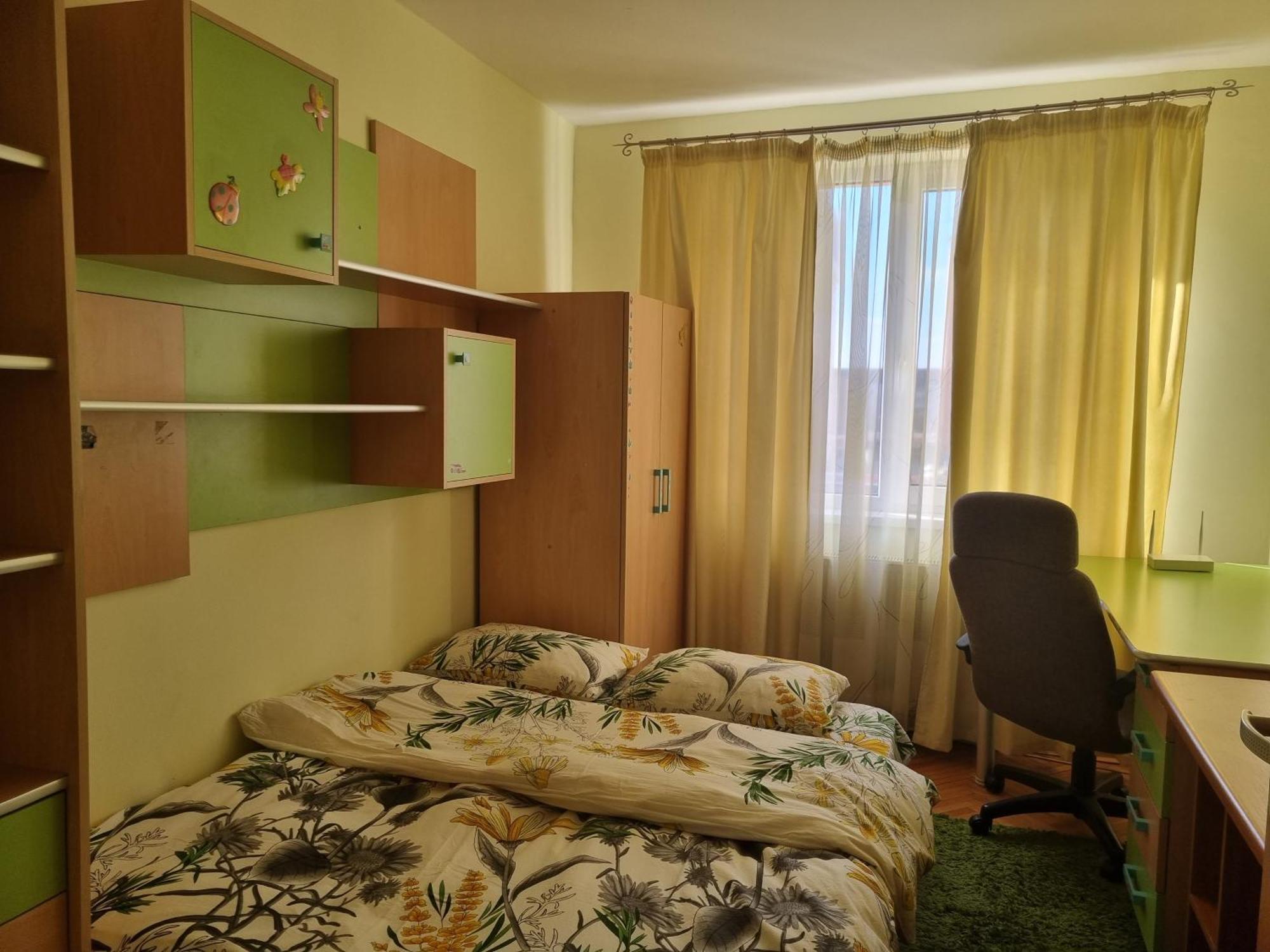 Nice & Relaxing Central Apartment Baia Mare Exterior photo