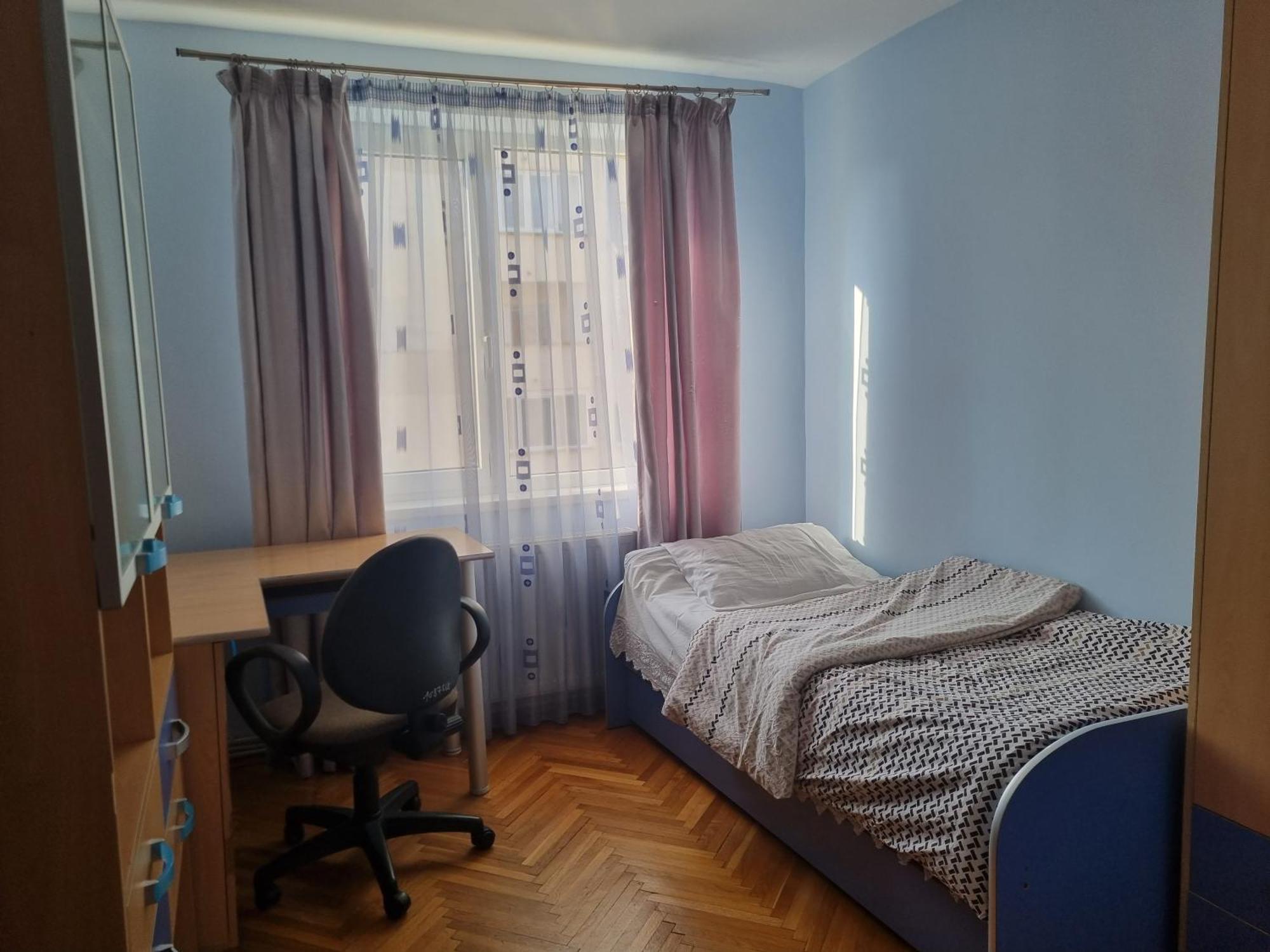 Nice & Relaxing Central Apartment Baia Mare Exterior photo