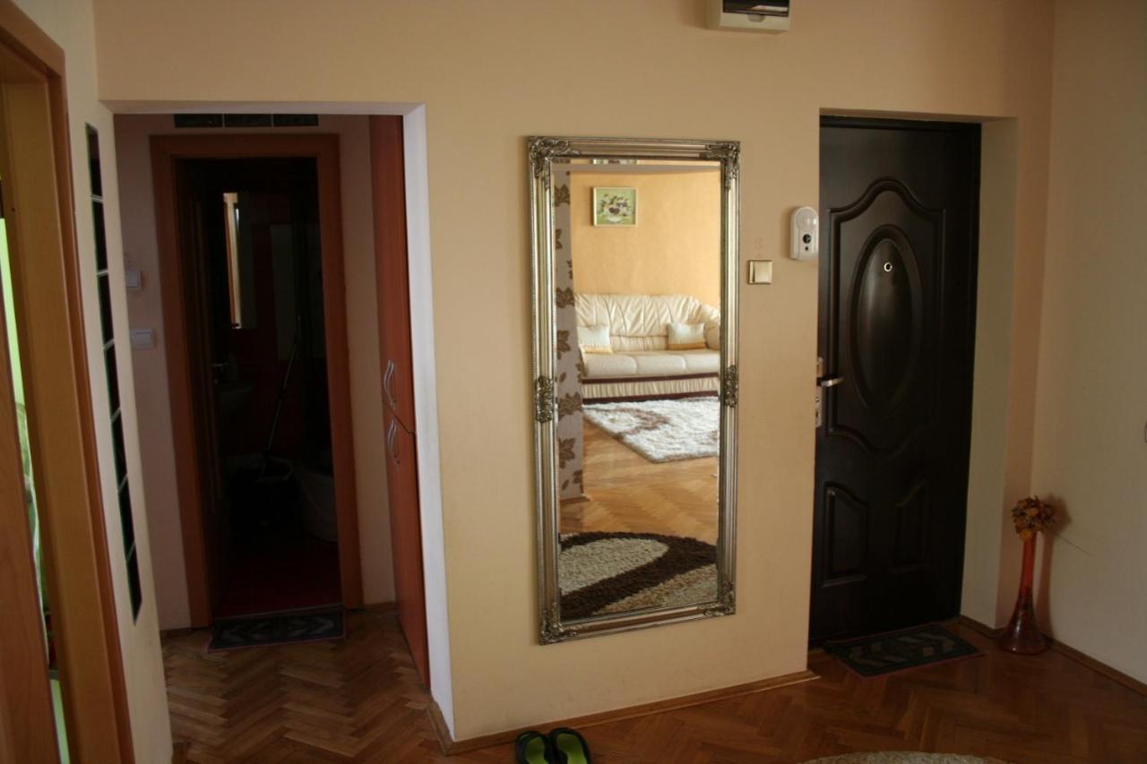 Nice & Relaxing Central Apartment Baia Mare Exterior photo